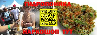 амф Донецк